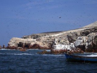 Islas--Ballestas-PERU