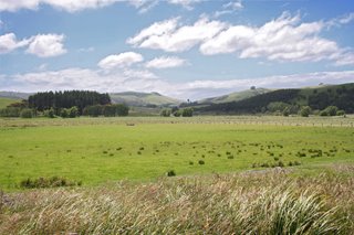 Southern Scenic Route, New Zealand