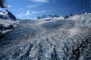Fox Glacier, New Zealand