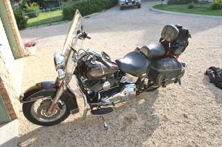 Harley Davidson, Soft-Tail