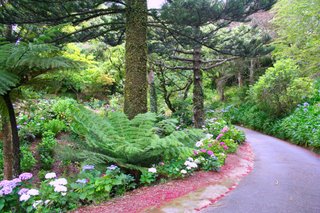 Wellington,  Botanical Gardens, New Zealand