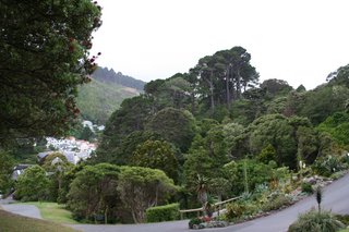 Wellington, Botanical Gardens, New Zealand