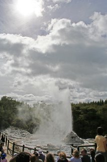 Lady Knox Geyser, New Zealand