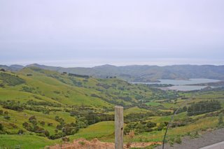 Road to Akaroa