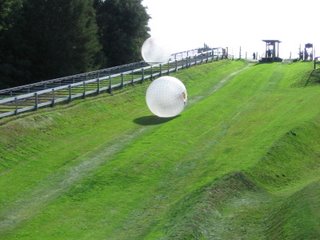 Zorbing - Rotorua