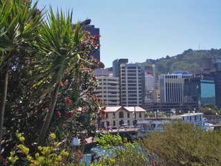 View of Wellington Waterfront, New Zealand