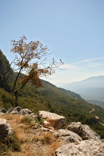 The road to Ostrog Monastery