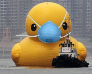 hongkonggiNTduck