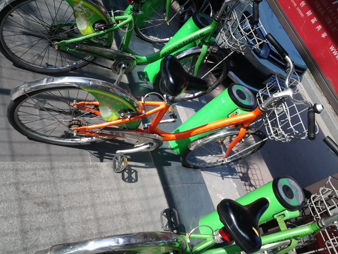 Tasman Alexander and Tyler Brown bike trip