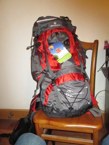 Chinese Backpack