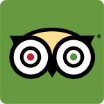 Trip Advisor app