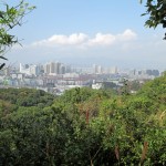 IMG_0664 (1024x768)
