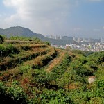 IMG_0668 (1024x768)