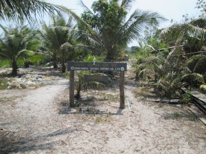 IMG_0921