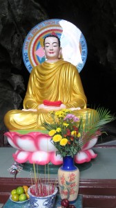 IMG_0971 copy