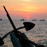 Squid Fishing