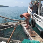 Fish Farm