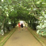 Garden House Village - Hue