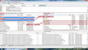 Install an old version of WordPress
