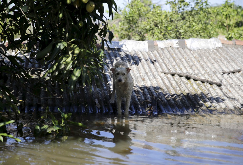El Niño flooding 2016