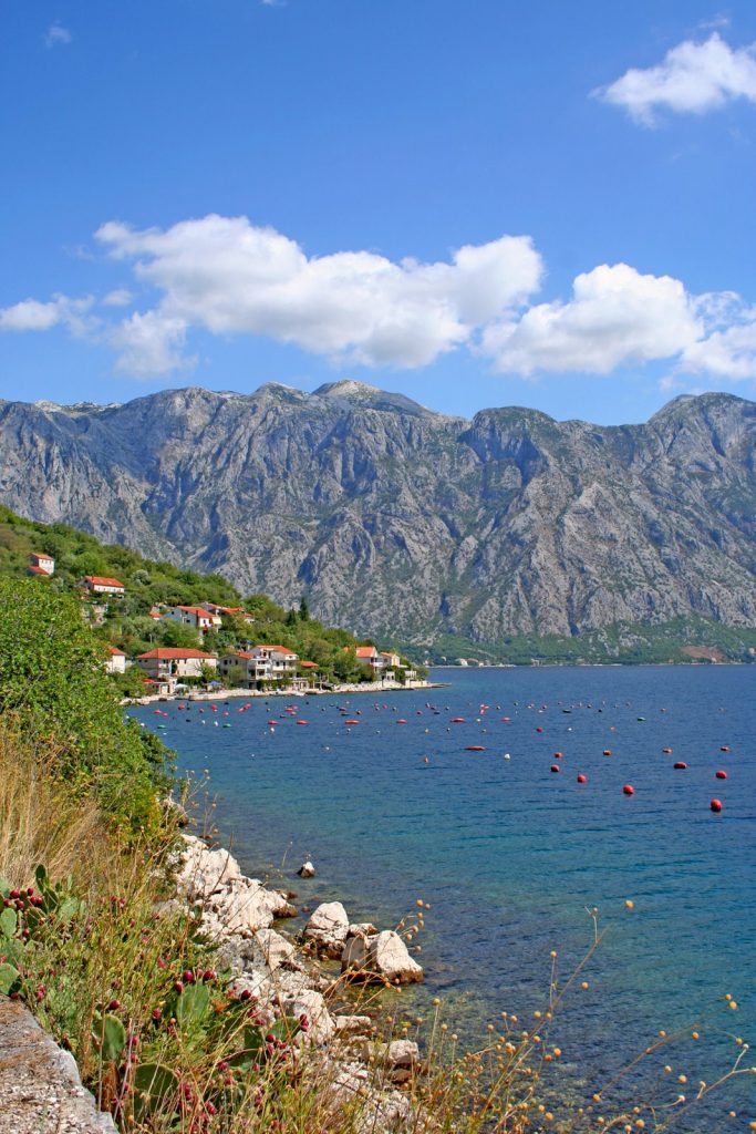 Kotor bay - Montenegro