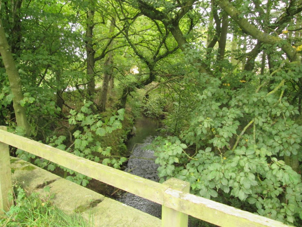 Pretty bridge