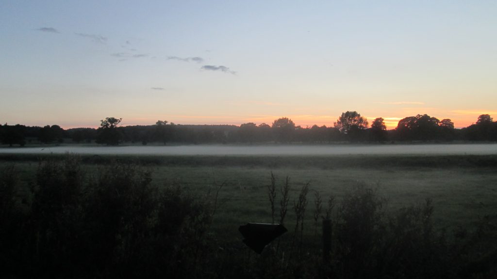 Morning over Shugborough