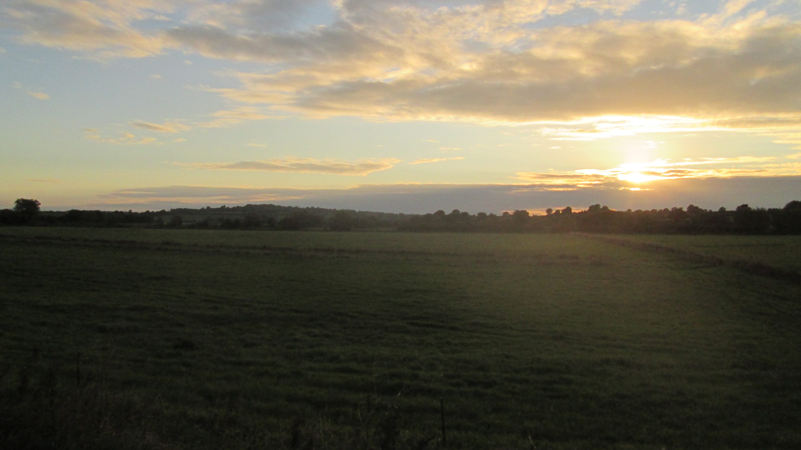 View to Clifton