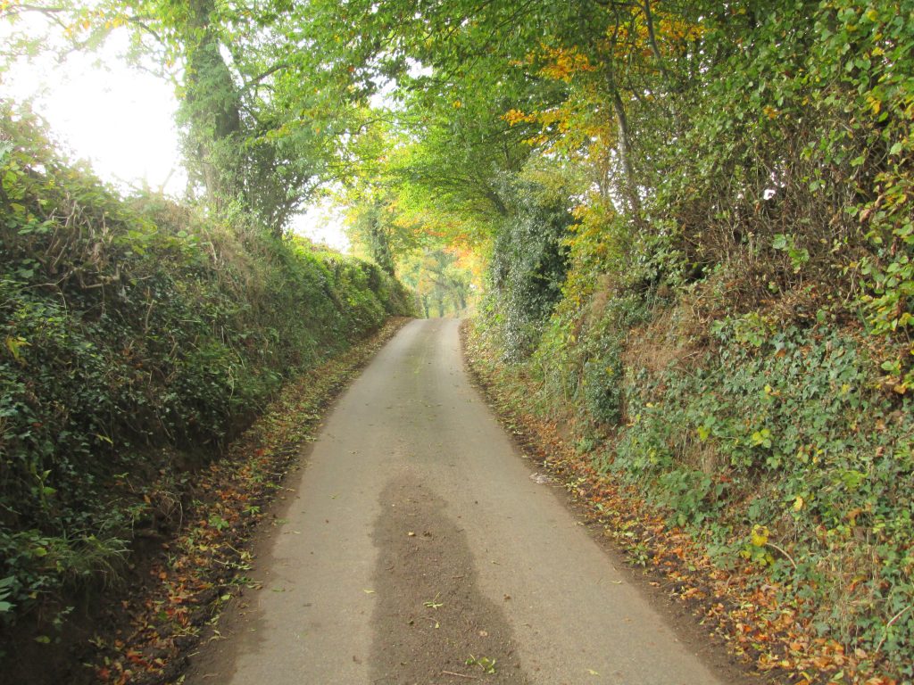 Devon Lane