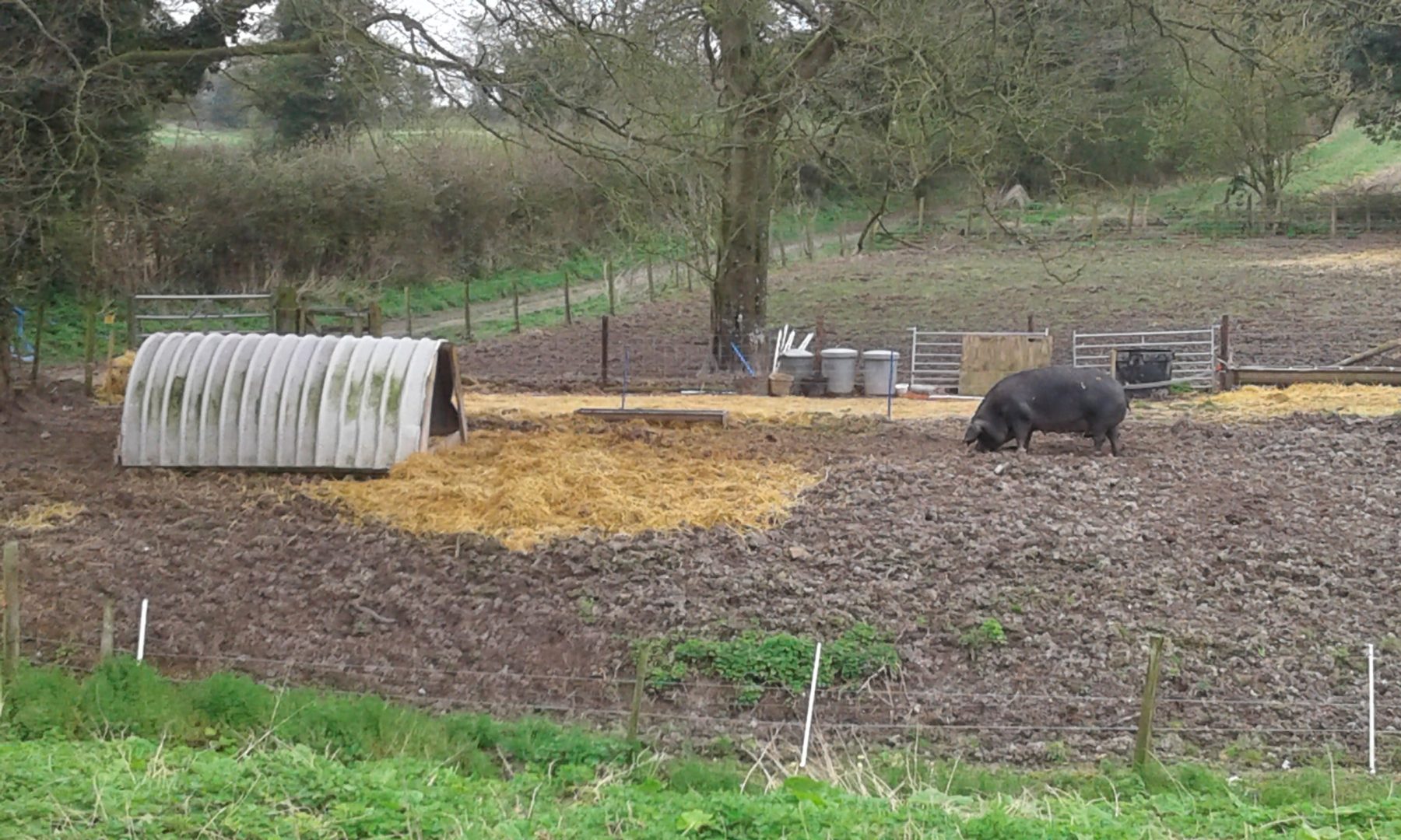 Wolf Hall > Crofton Meadows Continuous Cruising, Narrowboat
