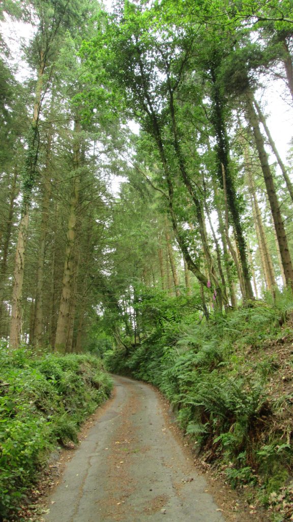 Clifford Bridge - Teign Valley