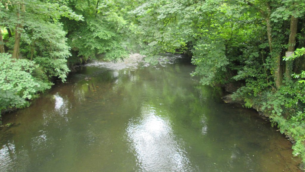 River Lyd