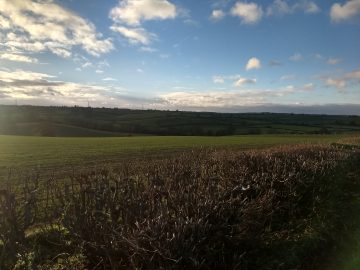 Weedon Bec -> Gayton Junction
