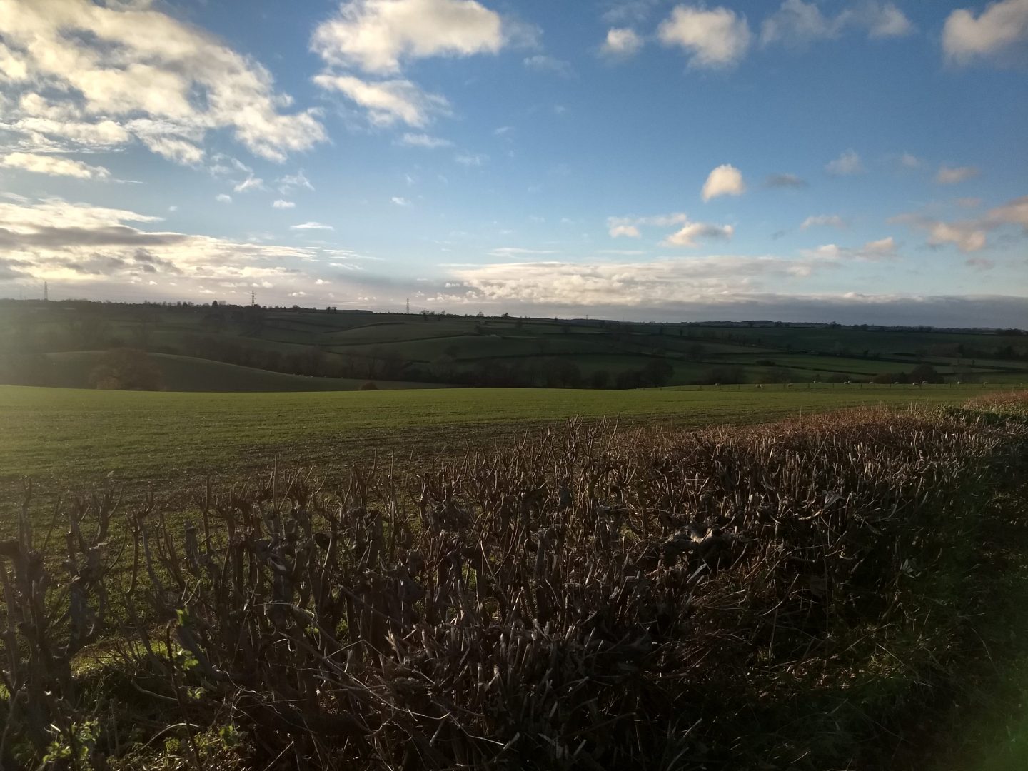 Weedon Bec > Gayton Junction Continuous Cruising, Narrowboat