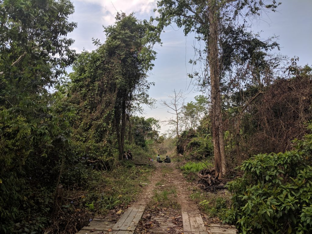 Chitwan National Park