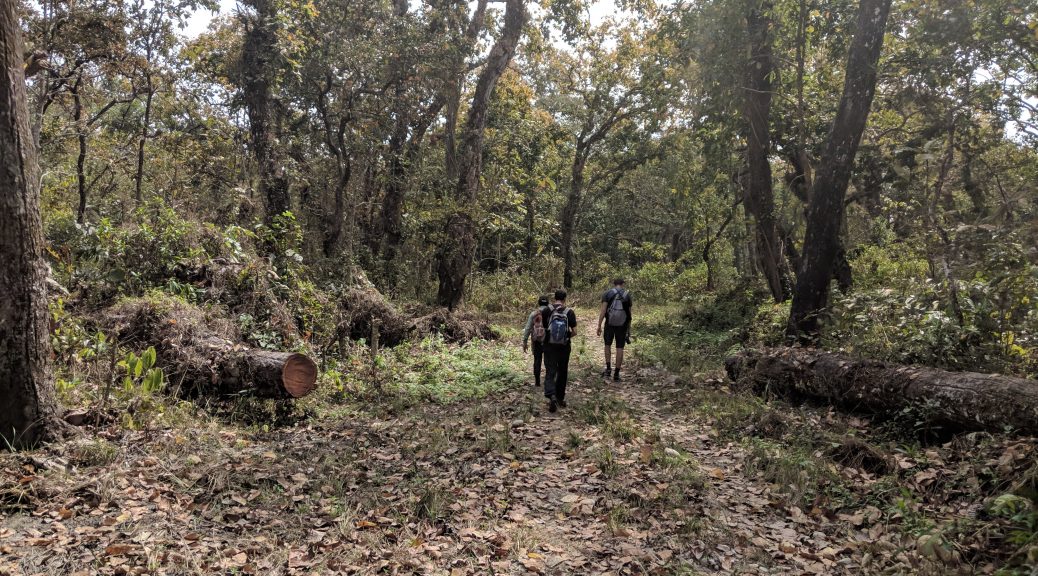 Chitwan National Park