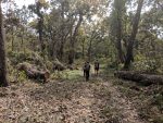 Chitwan National Park