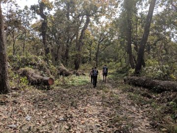 Day 8: Chitwan National Park – Walking tour