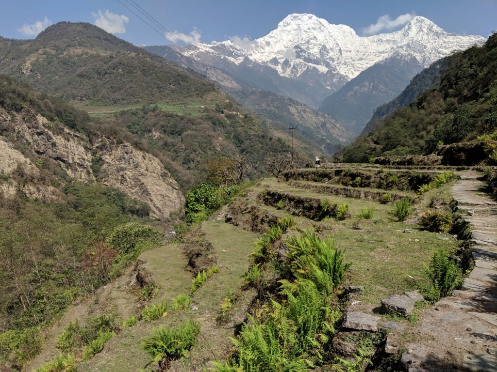 Terraces near Lundruk