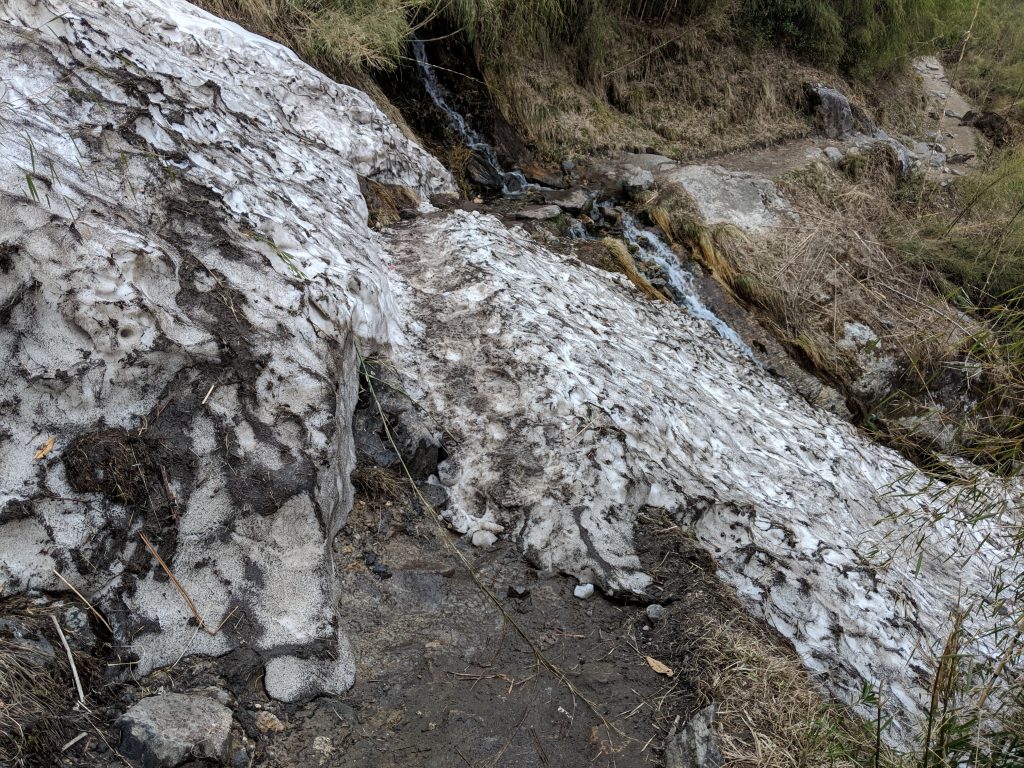 Avalanches between Bamboo and Himalaya