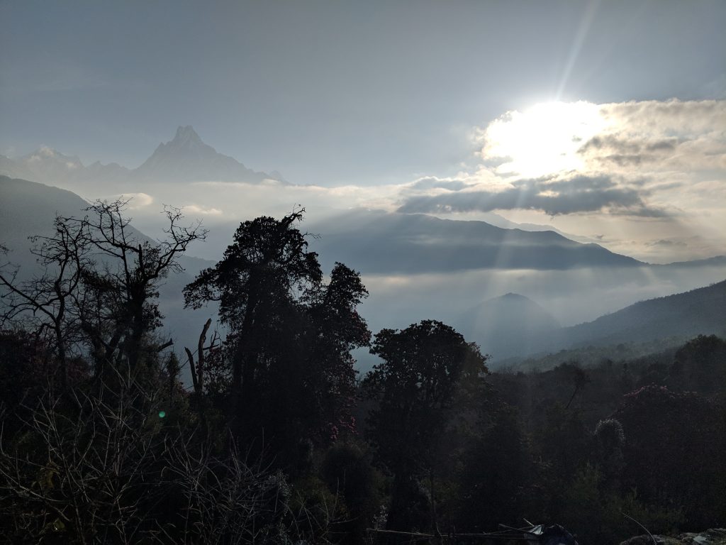 Tadapani - Annapurna National Park