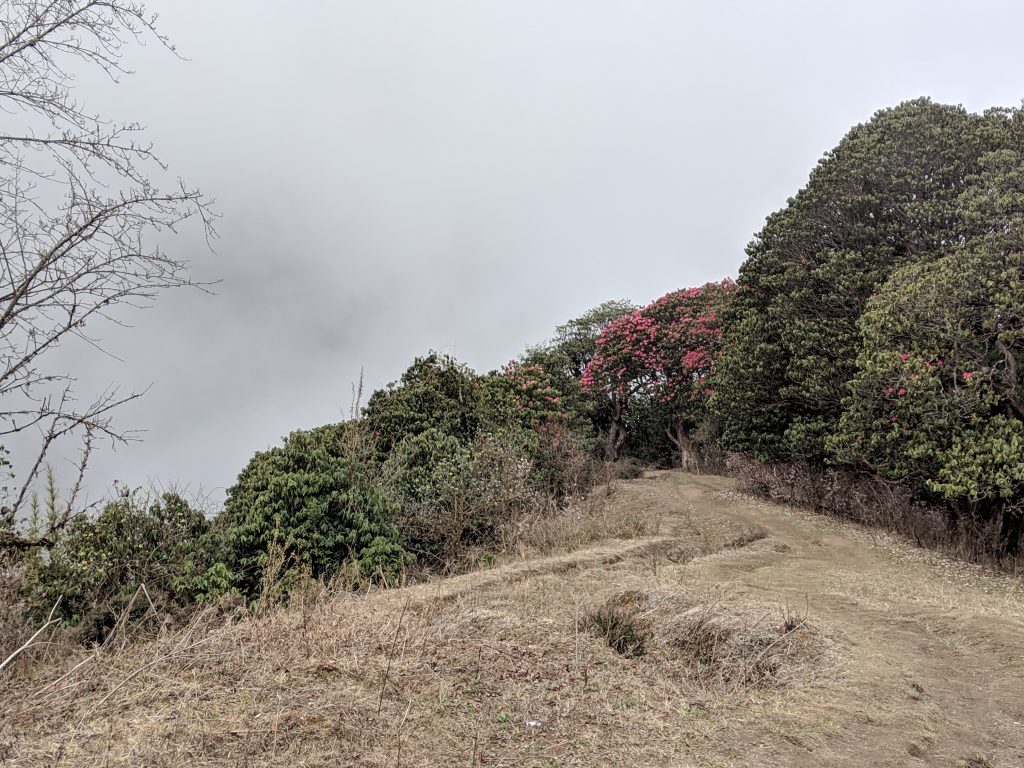 Poon Hill Trek