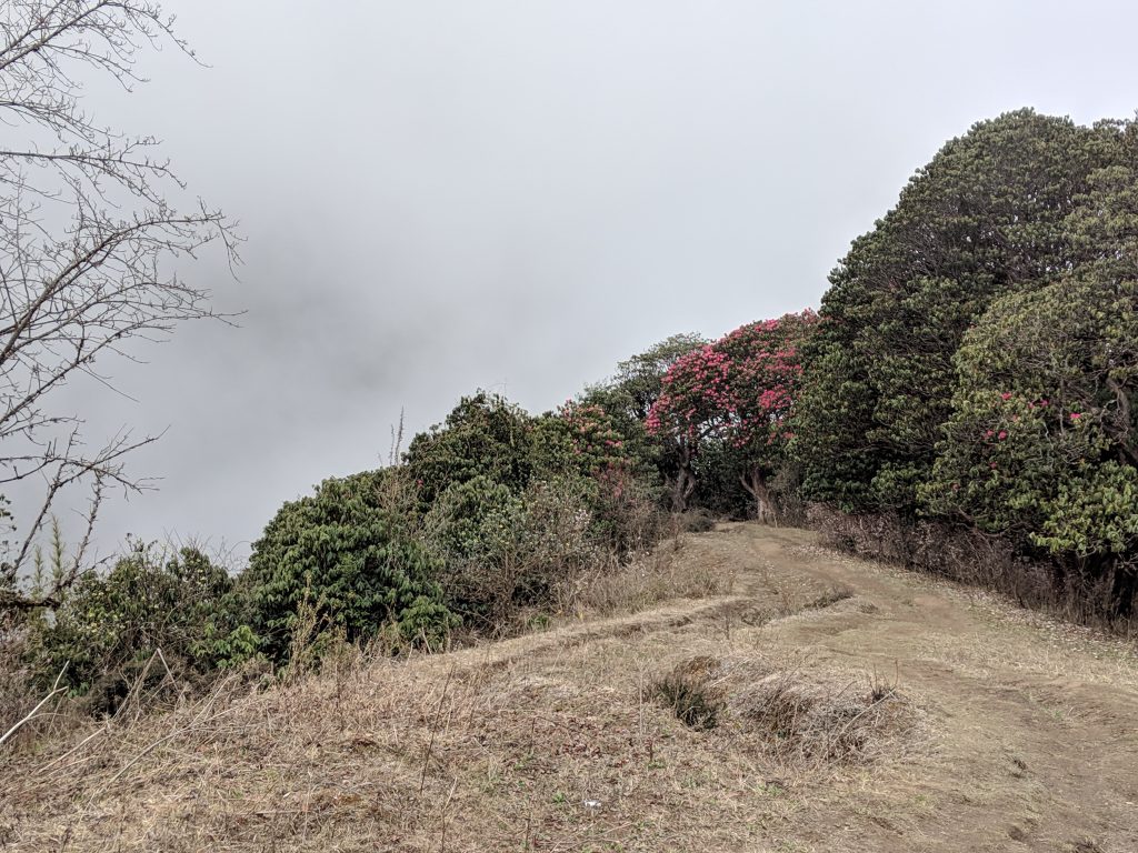 Poon Hill Trek