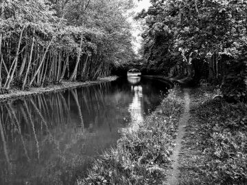 Covid on the Cut – May the 4th be with you
