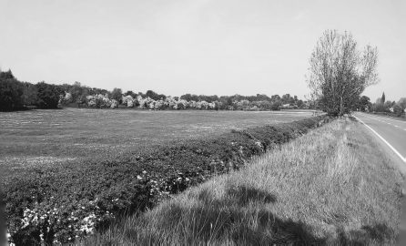 Covid on the Cut – The 5th degree