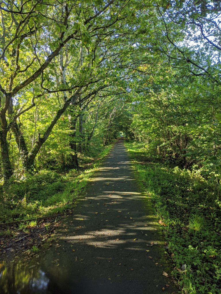 Cycle route 8