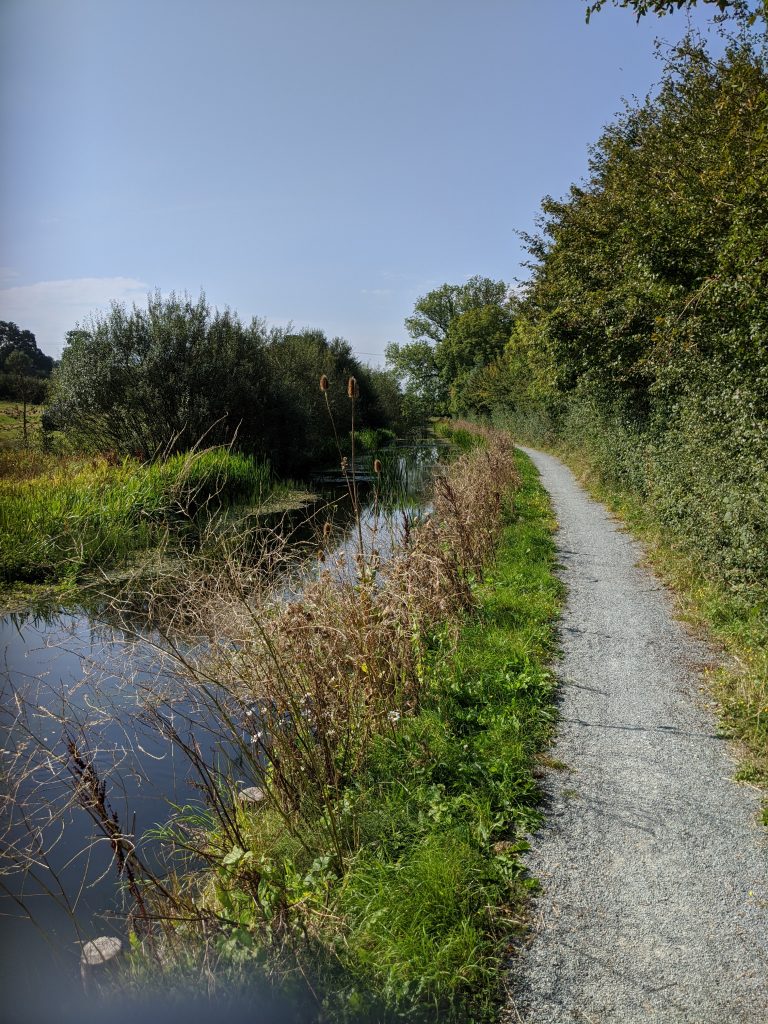Montgomery Canal near Arddleen.