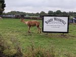Barby Marina
