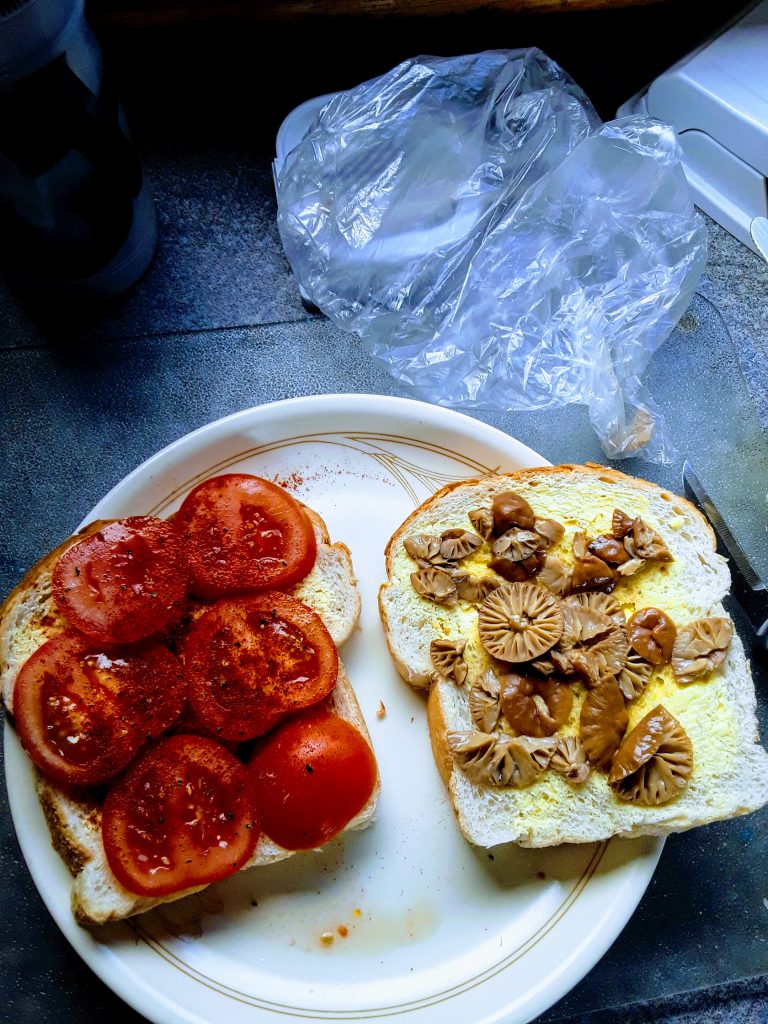 Fairy ring mushroom and tomato sandwich, 9/08/2019