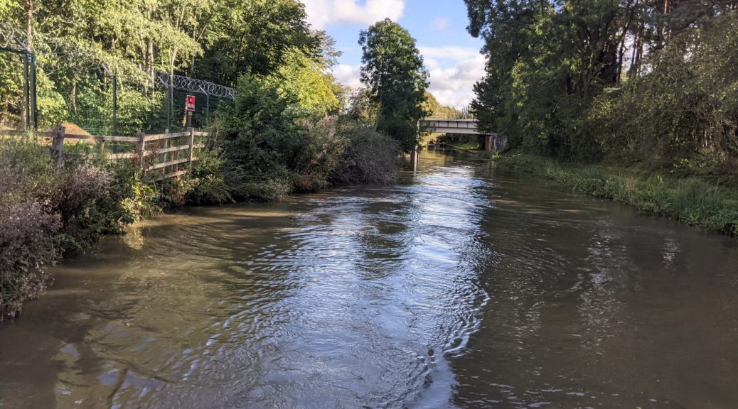 Close to Spiceball park nature reserve